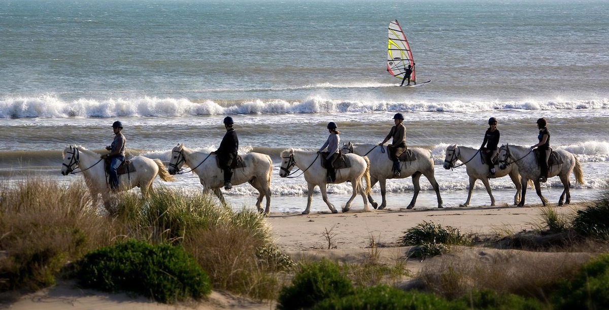 Balades À Cheval En Camargue